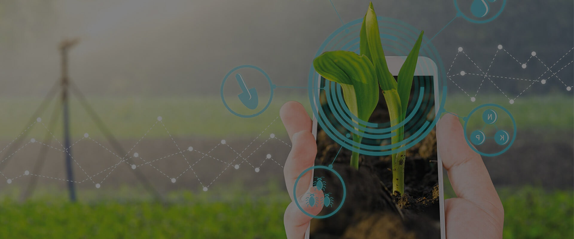 Комплексное решение