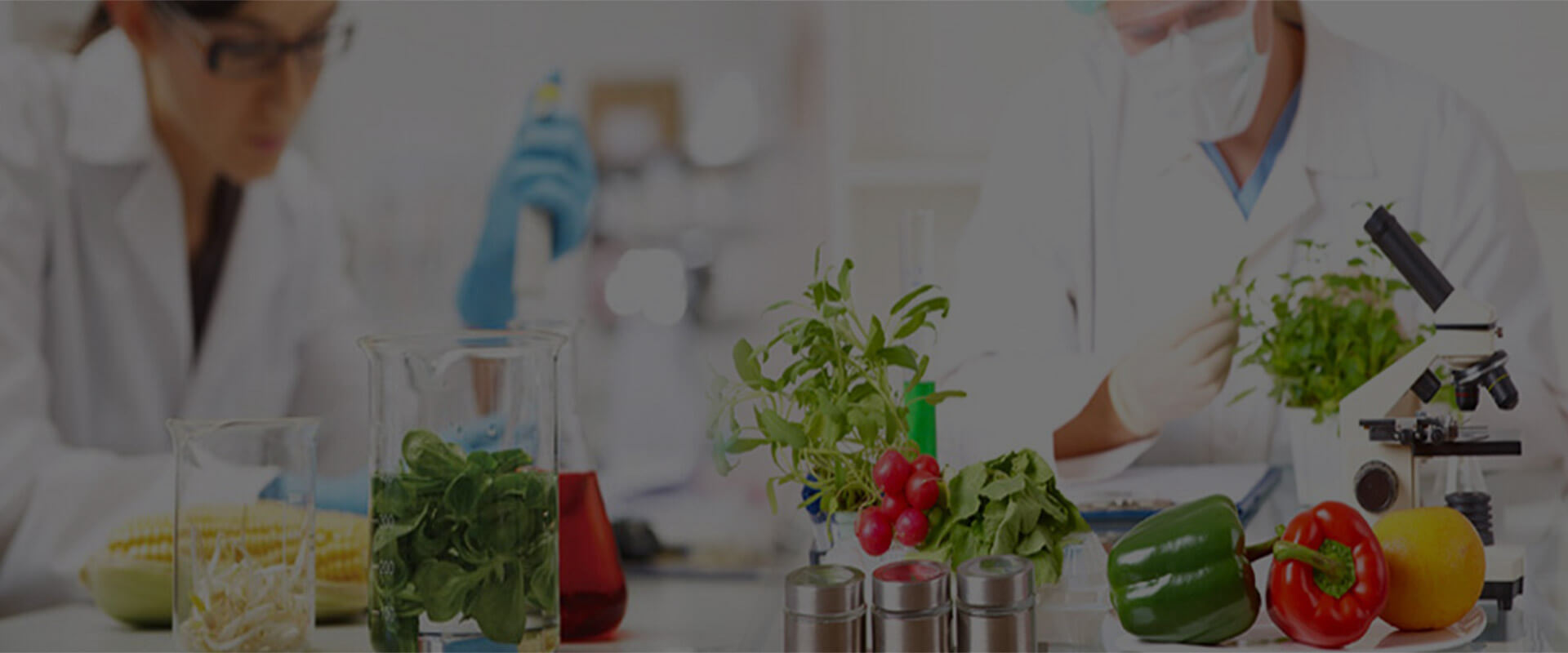 Методическая поддержка