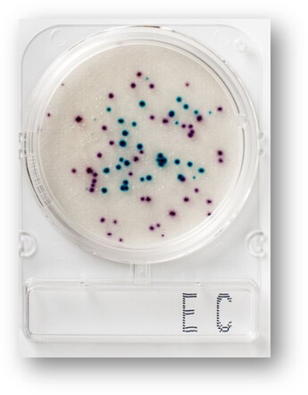 Готові мікробіологічні середовища Compact Dry