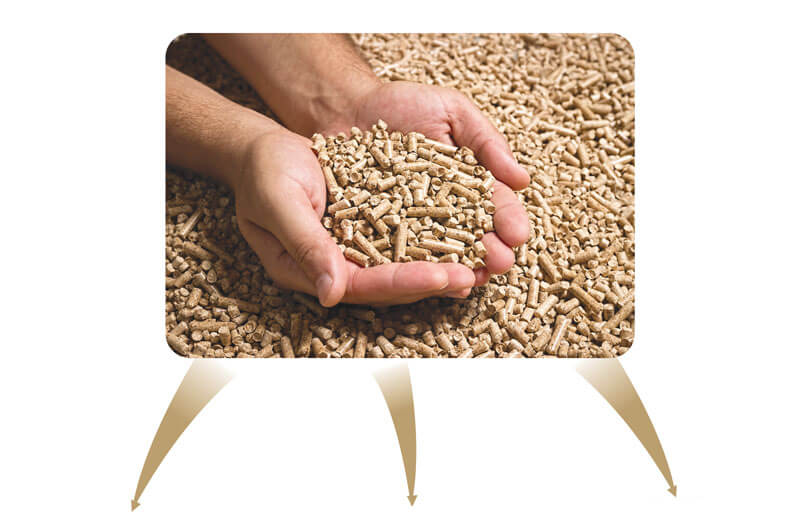 Визначення токсичності кормів