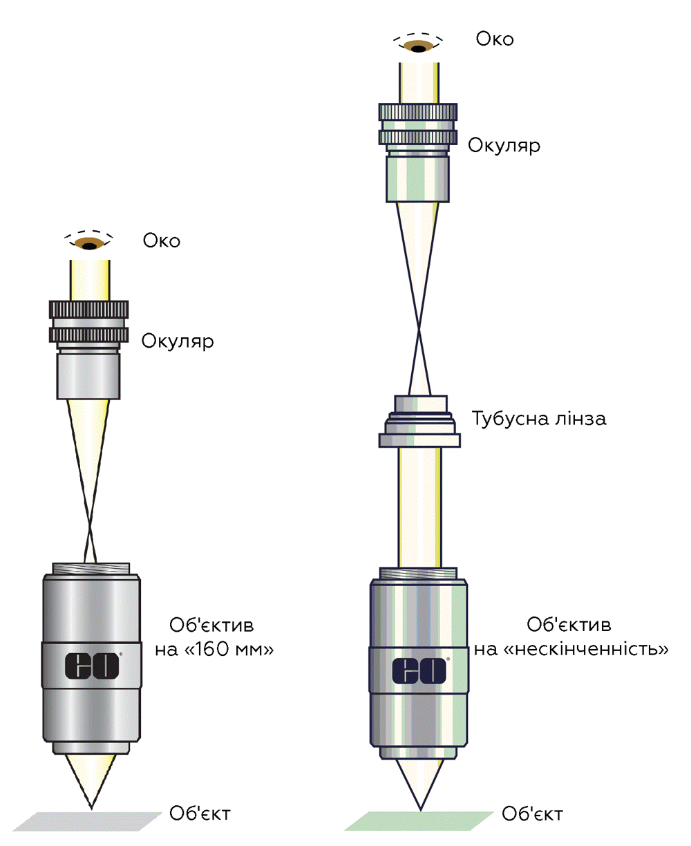 Як вибрати об'єктив для мікроскопа мікробіолога