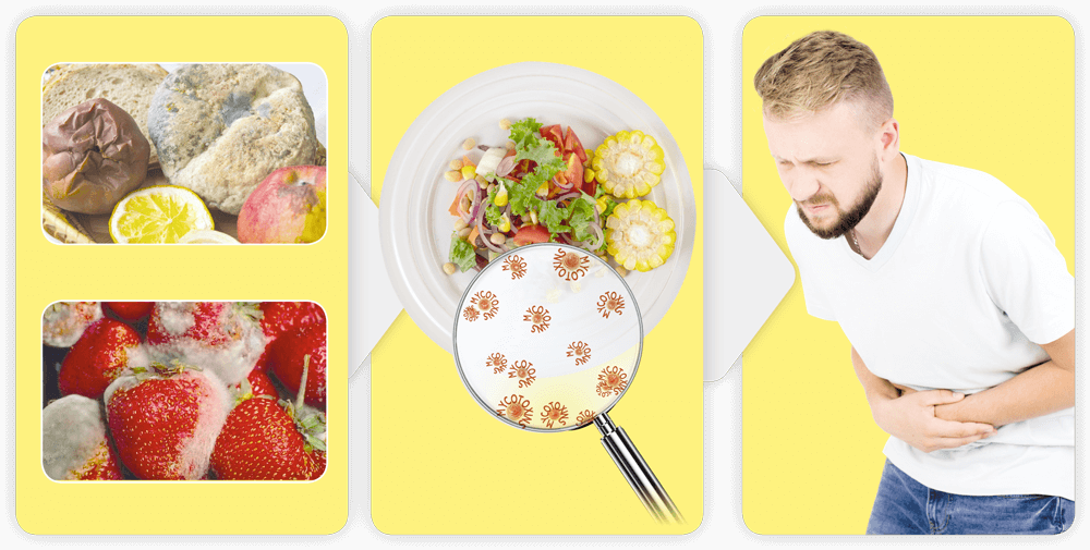 Продукты, зараженные микотоксинами