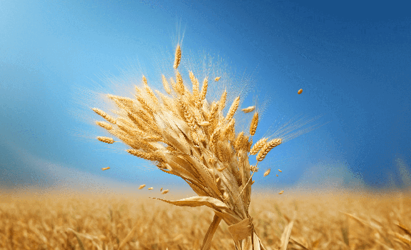 APK.HLR банер 1